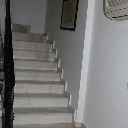 فيلة Bella Tom *